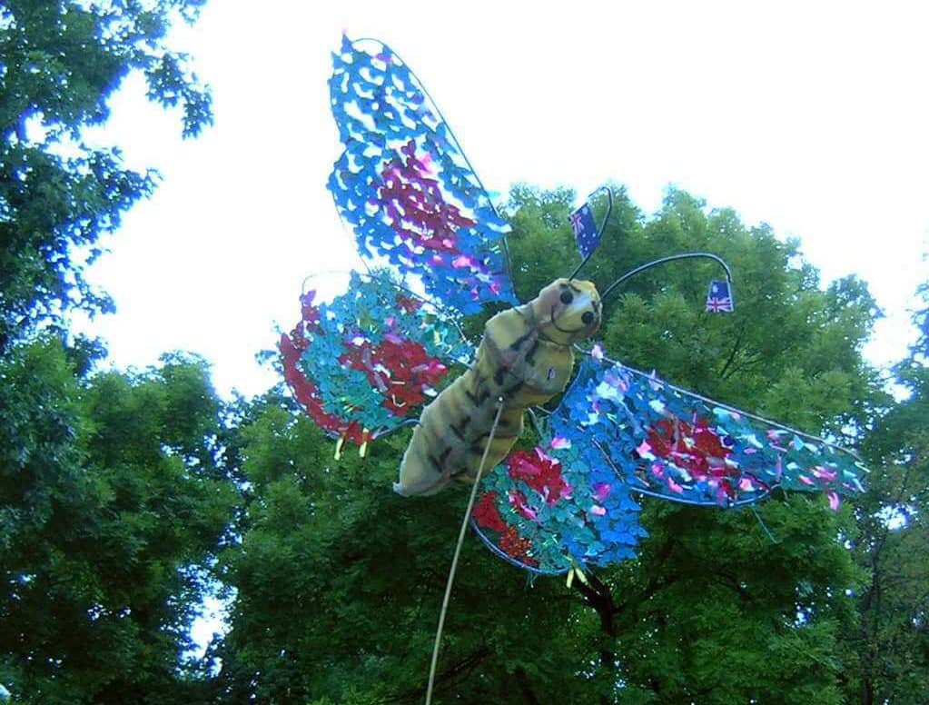 bathurst machattie park butterfly